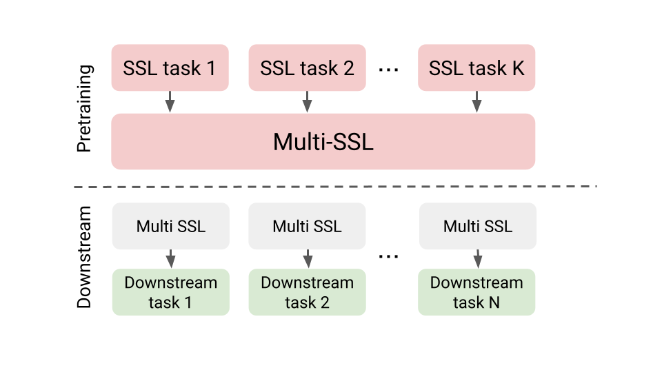 Multi-SSL teaser: combining multiple self-supervised pretraining tasks